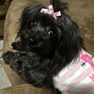 Meet your Posher, Dana